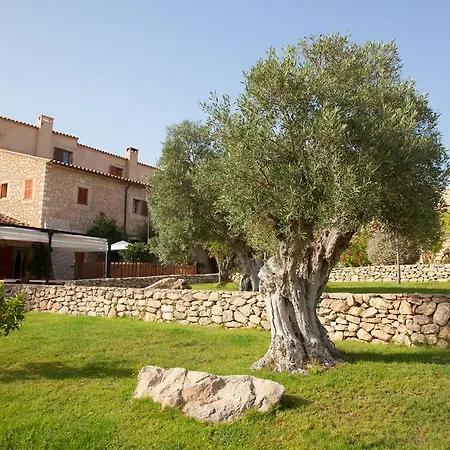Ses Cases De Fetget (adults Only) Hotell